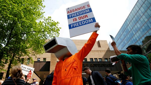 Protestas a favor del fundador de WikiLeaks, Julian Assange - Sputnik Mundo
