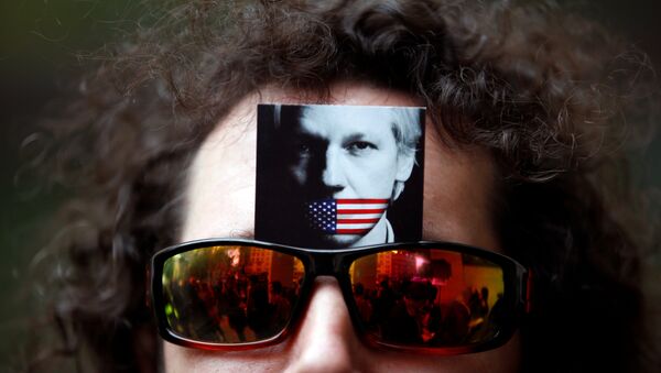El retrato de Julian Assange en las gafas de un manifestante (archivo) - Sputnik Mundo