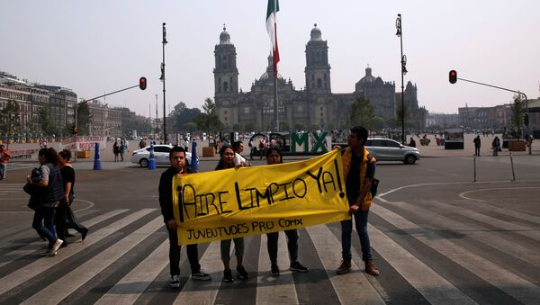 Jóvenes protestan por la mala calidad del aire en Ciudad de México - Sputnik Mundo