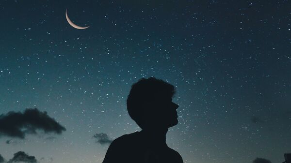 Una persona viendo el cielo nocturno (imagen referencial) - Sputnik Mundo