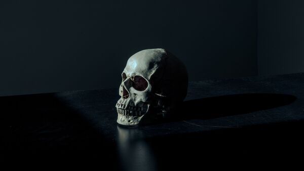 Un cráneo humano (imagen referencial) - Sputnik Mundo