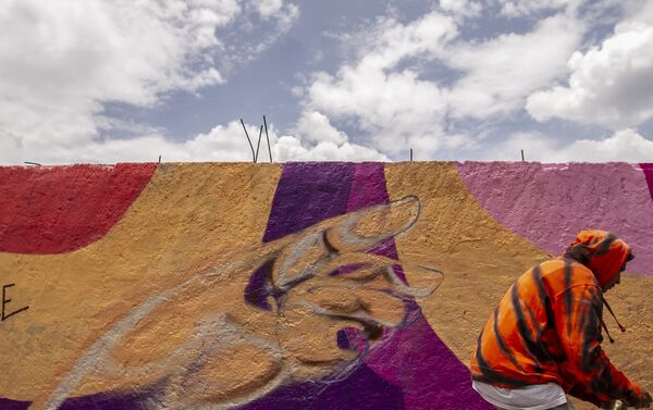 Artista que participó de la confección del mural dedicado a Pamela Gallardo Volante, desaparecida en la ciudad de México - Sputnik Mundo