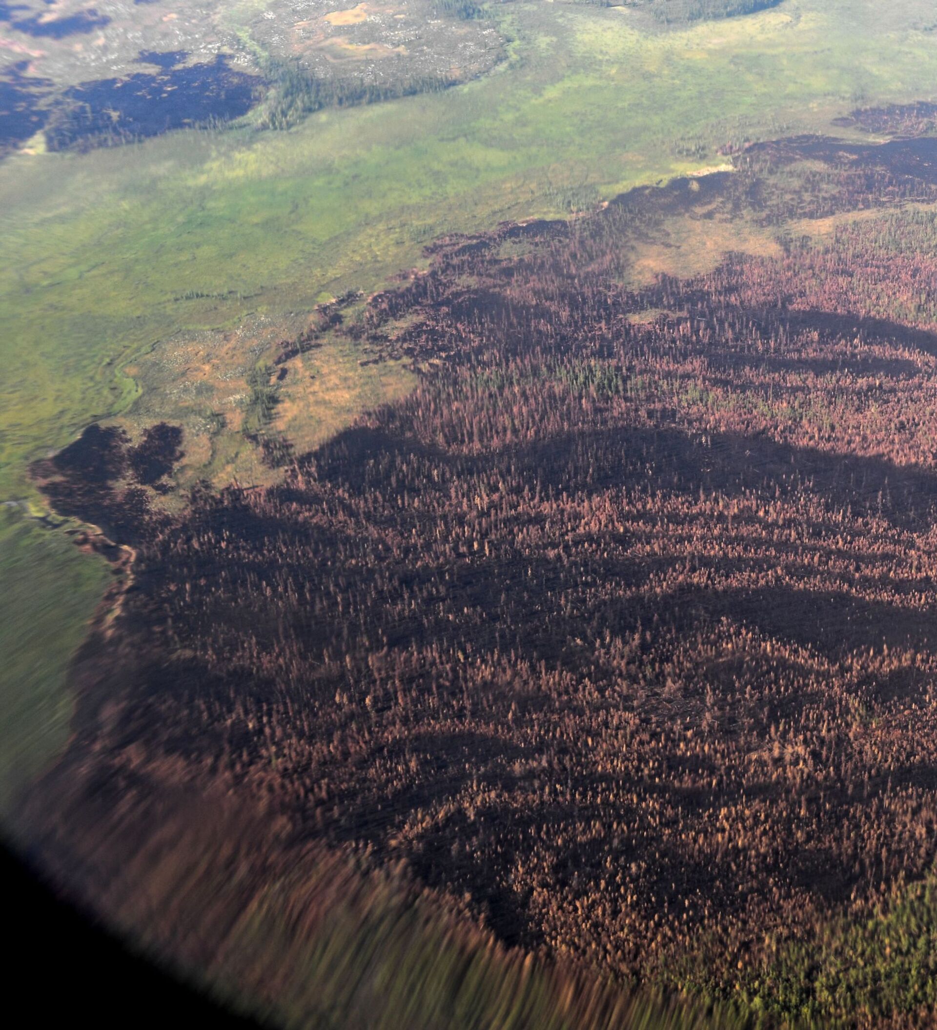 Sofocan Más De 30 Incendios Forestales En Rusia En Un Día 04 08 2019