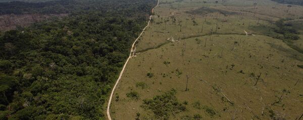 Una área deforestada en la Amazonía brasileña Una área deforestada en la Amazonía brasileña - Sputnik Mundo
