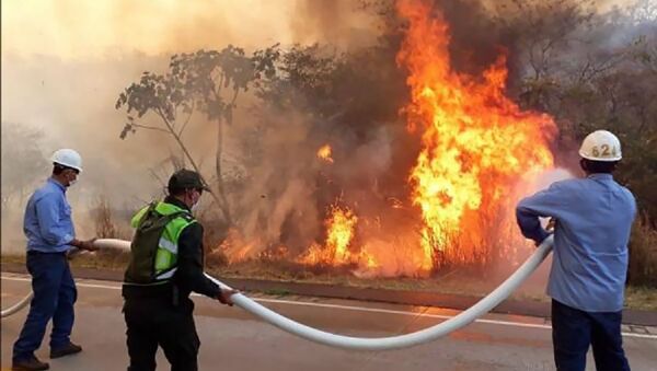 Incendios en el departamento de Santa Cruz, Bolvia - Sputnik Mundo