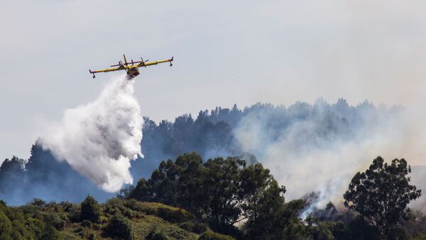 Incendio forestal en Gran Canaria, España - Sputnik Mundo