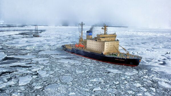 El Ártico (imagen referencial) - Sputnik Mundo