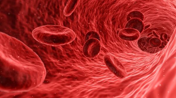 Glóbulos rojos en el torrente sanguíneo (ilustración gráfica) - Sputnik Mundo