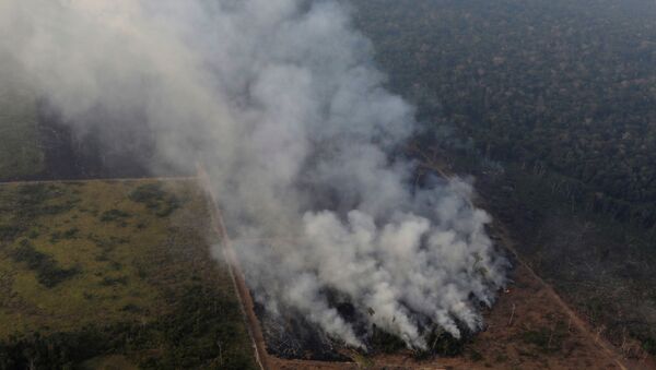 Incendios en la Amazonía - Sputnik Mundo