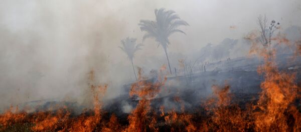 Incendios forestales en la Amazonía brasileña (archivo) Incendios forestales en la Amazonía brasileña (archivo) - Sputnik Mundo