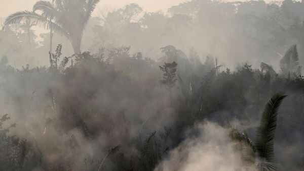Humo causado por los incendios forestales en la Amazonía brasileña - Sputnik Mundo