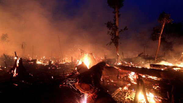 Incendios en Amazonía - Sputnik Mundo