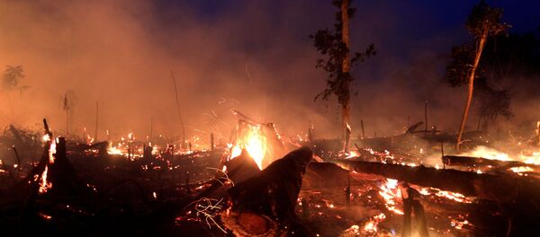 Incendios en Amazonía Incendios en Amazonía - Sputnik Mundo