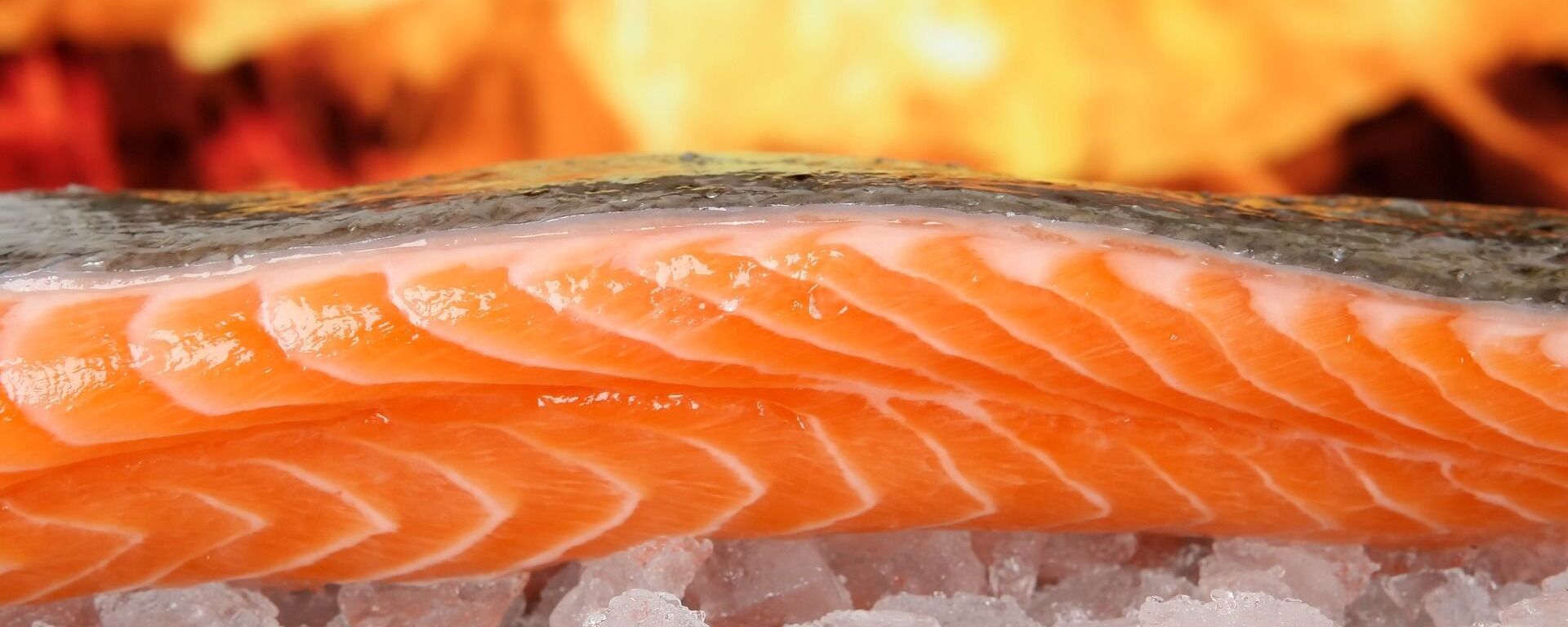 Un salmón utilizado para la gastronomía - Sputnik Mundo, 1920, 05.09.2019