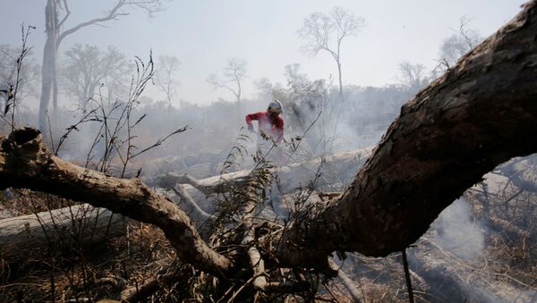 Un bombero en los incendios forestales en Bolivia - Sputnik Mundo