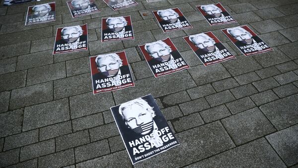 Los carteles en apoyo del fundador de WikiLeaks, Julian Assange - Sputnik Mundo