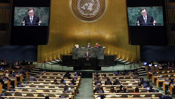 El 73º período de sesiones de la Asamblea General de las Naciones Unidas - Sputnik Mundo