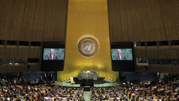 Debate general de la Asamblea General de las Naciones Unidas - Sputnik Mundo