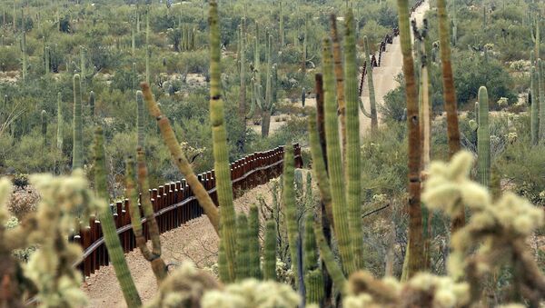 Cerco entre México y EEUU en la zona del Monumento Nacional Organ Pipe Cactus, que será remplazado por el muero fronterizo - Sputnik Mundo