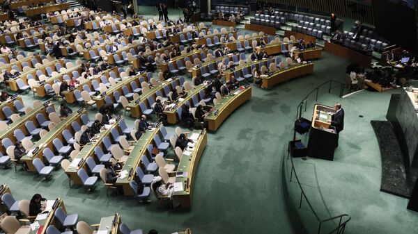 74º período de sesiones de la Asamblea General de las Naciones Unidas en Nueva York - Sputnik Mundo