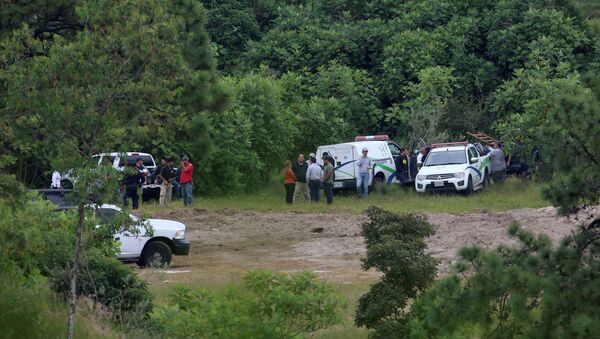 Forenses y policías en el terreno de Zapopan, Guadalajara, donde se encontraron cientos de restos humanos - Sputnik Mundo