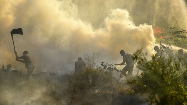 Incendios forestales en Paraguay - Sputnik Mundo