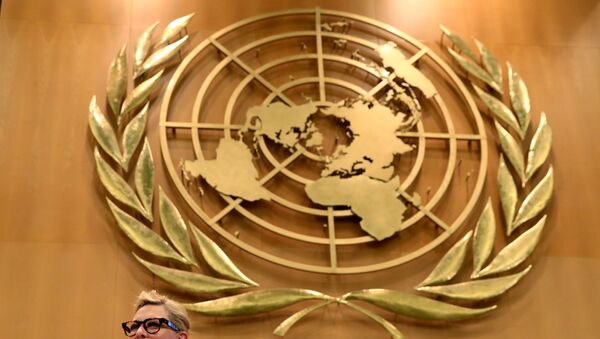 El escudo de la ONU - Sputnik Mundo