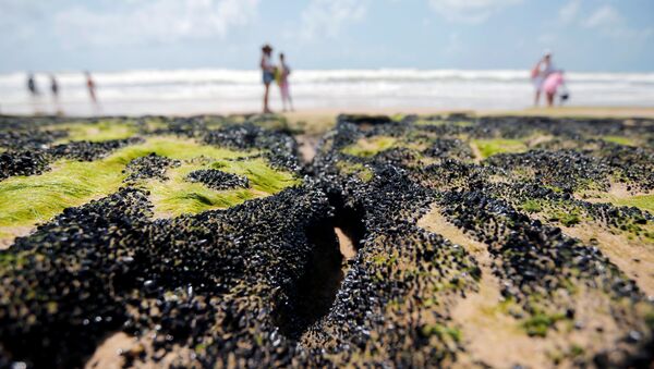 Petróleo en la playa en el estado brasileño de Bahía - Sputnik Mundo