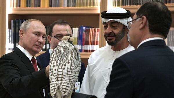 Vladímir Putin regala un halcón gerifalte blanco al príncipe heredero de Abu Dabi, Mohamed bin Zayed Nahyan - Sputnik Mundo