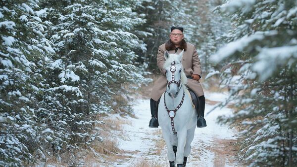 Kim Jong-un a caballo y animadoras rusas: las fotos más llamativas de la semana
 - Sputnik Mundo