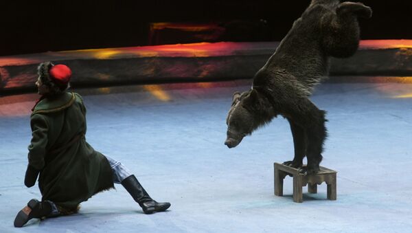 Un domador con un oso, imagen referencial - Sputnik Mundo
