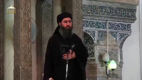 Abu Bakr Baghdadi, líder terrorista del ISIS - Sputnik Mundo