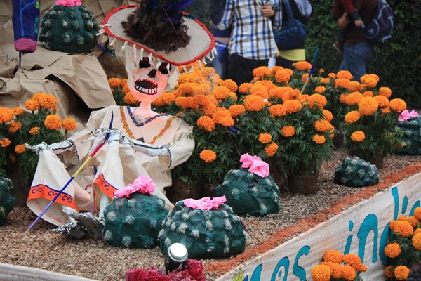 Cempasúchil, flor mexicana que embellece el camino al inframundo | Fotos Cempasúchil, flor mexicana que embellece el camino al inframundo | Fotos - Sputnik Mundo