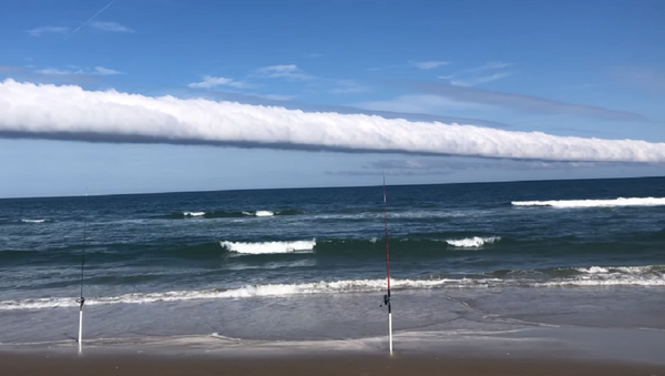 Captan una alucinante nube en forma de rollo en una playa de EEUU - Sputnik Mundo