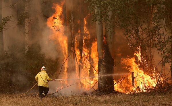 Los incendios forestales en Australia, fuera de control
 - Sputnik Mundo