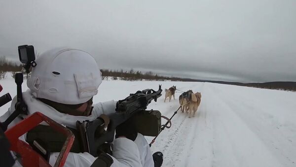Los militares rusos aprenden a montar en trineos tirados por huskis - Sputnik Mundo