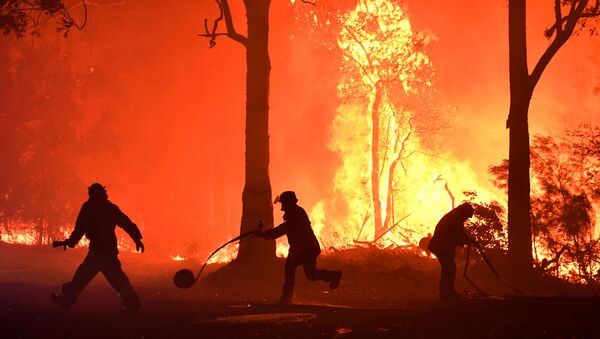 Волонтеры, пожарные и спасатели из Нового Южного Уэльса тушат пожар неподалеку от деревни Термейл, Австралия - Sputnik Mundo