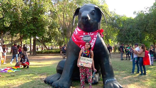 El arte de la protesta en Chile: un estallido creativo El arte de la protesta en Chile: un estallido creativo - Sputnik Mundo