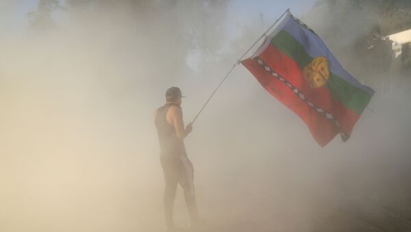 Un manifestante agita una bandera mapuche durante una protesta contra el Gobierno de Chile en Santiago - Sputnik Mundo