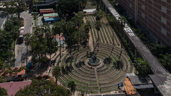 El huerto organoponico está ubicado en el corazón de Caracas - Sputnik Mundo