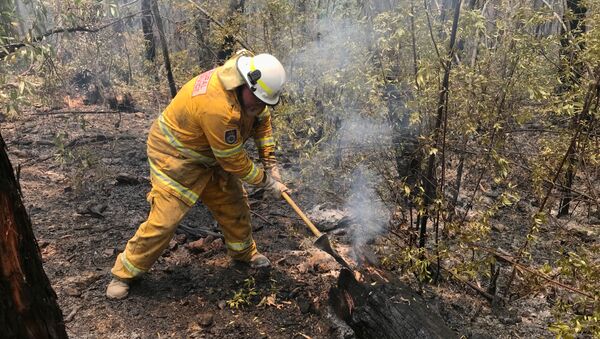 Lucha contra los incendios forestales en Australia - Sputnik Mundo