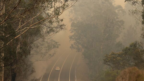 El humo de los incendios forestales en una carretera cerca de Moruya, Australia, el 4 de enero de 2020 - Sputnik Mundo