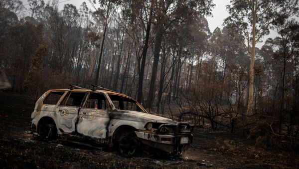 Последствия лесного пожара в Австралии - Sputnik Mundo