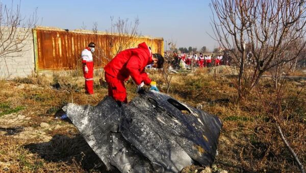 Lugar del siniestro del avión ucraniano Boeing 737 en Teherán, Irán - Sputnik Mundo