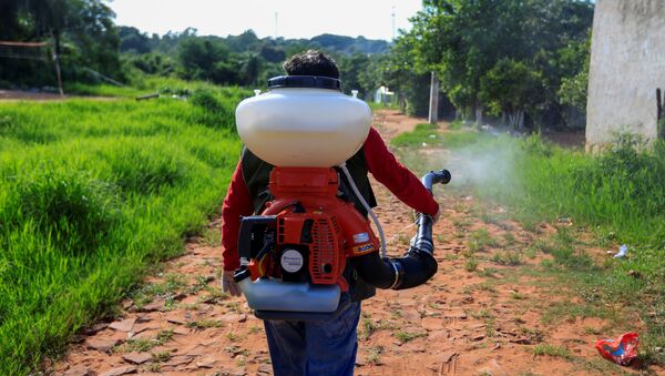 La fumigación por emergencia nacional en Paraguay ante el repunte de casos de dengue - Sputnik Mundo