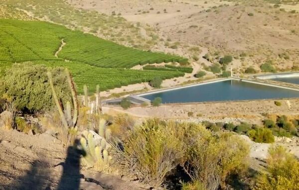 Plantaciones y embalses de agua en Petorca, Chile - Sputnik Mundo