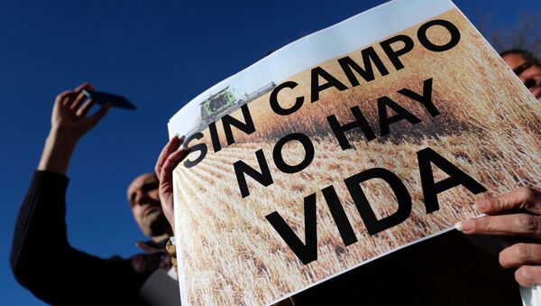 Protesta de agricultores en Madrid - Sputnik Mundo