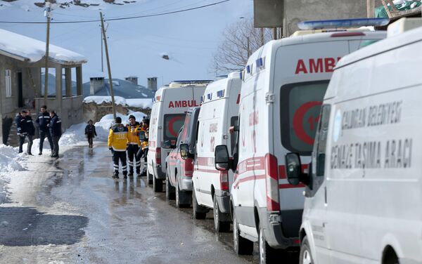 La operación de rescate en la provincia turca de Van tras avalanchas  - Sputnik Mundo