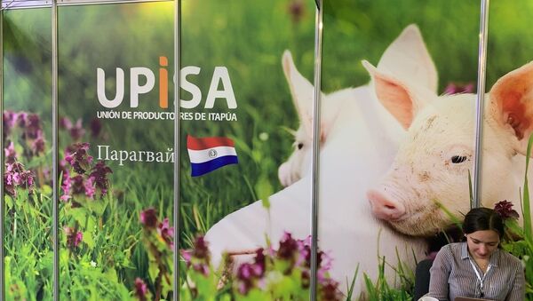 Upisa busca diversificar sus exportaciones en Rusia - Sputnik Mundo