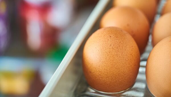 Huevos en refrigerador - Sputnik Mundo